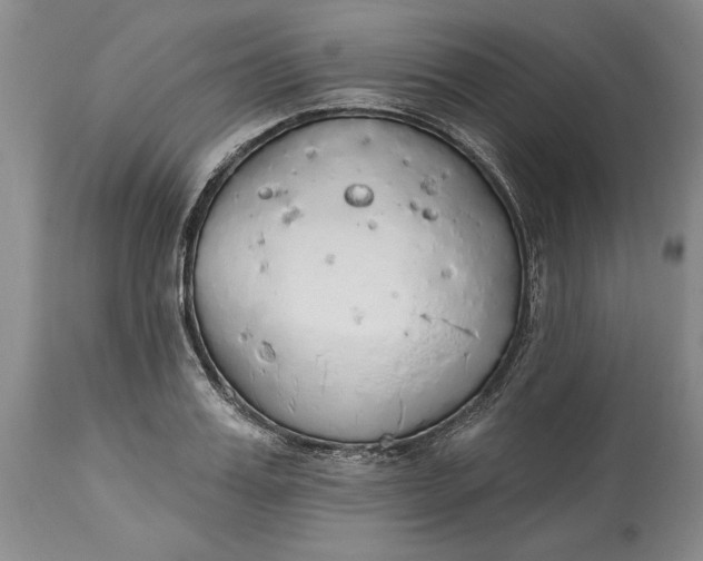 X0000115420987200911171419