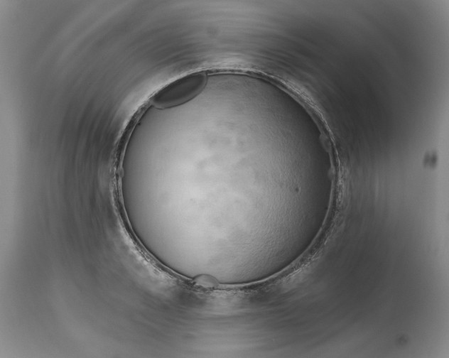 X0000115420989200911171419