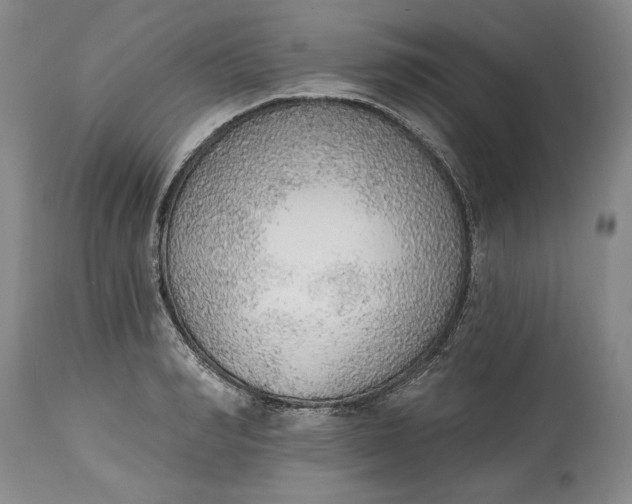 X0000115420990200911171419
