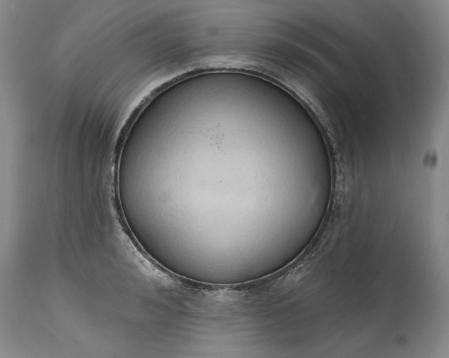 X0000115420992200911171419