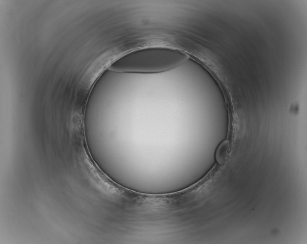 X0000115420993200911171419