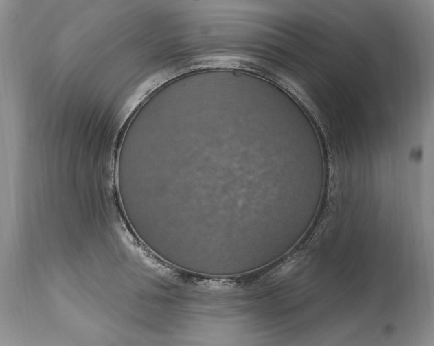 X0000115420994200911171419