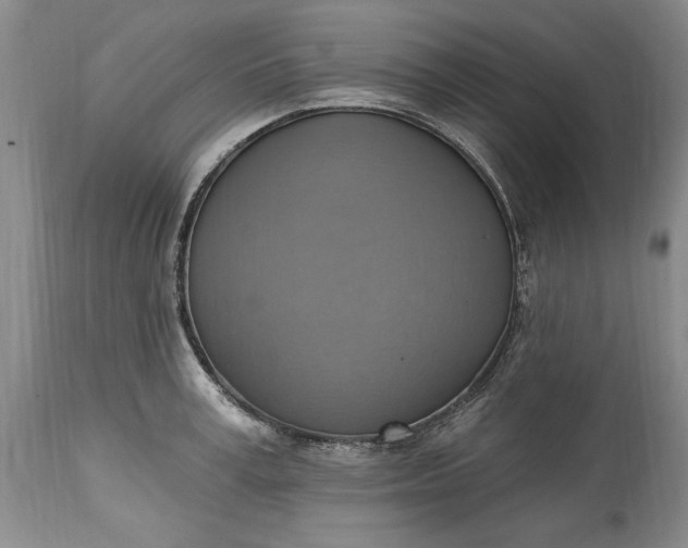 X0000115420995200911171419