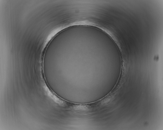 X0000115420998200911171419
