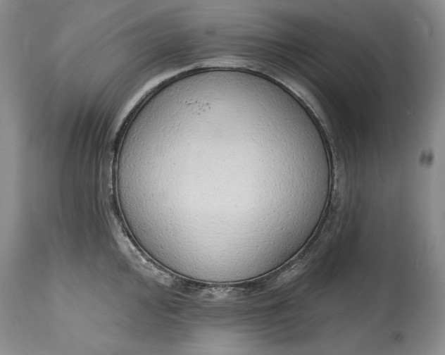 X0000115421000200911171419