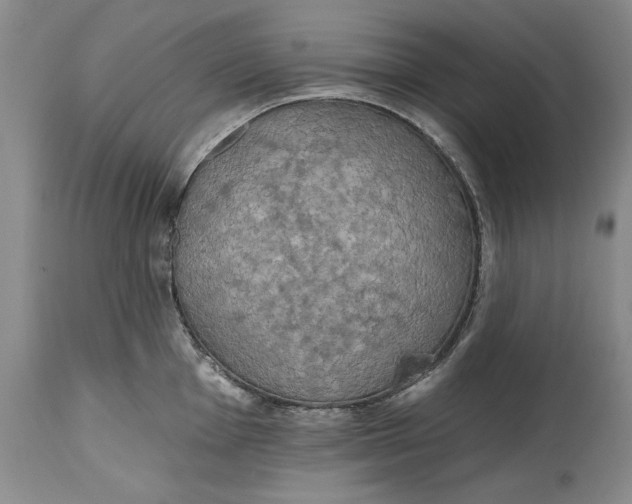 X0000115421001200911171419