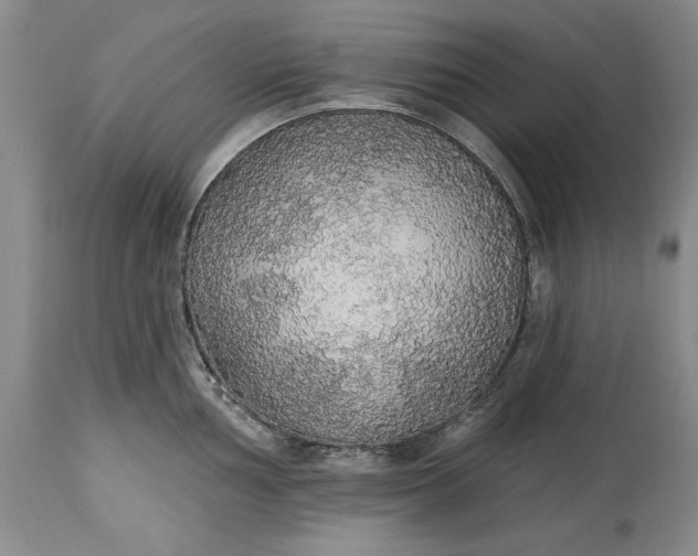 X0000115421002200911171419