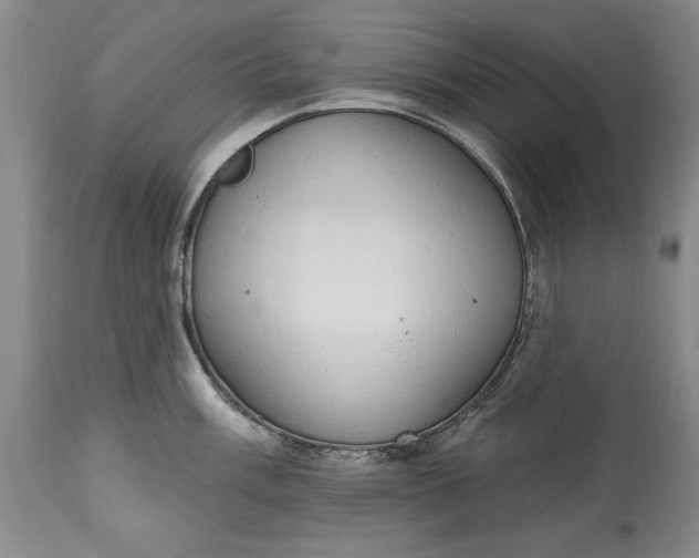X0000115421003200911171419