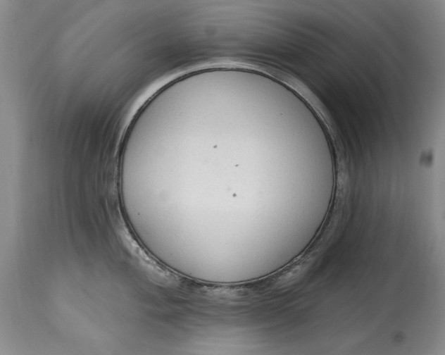X0000115421004200911171419