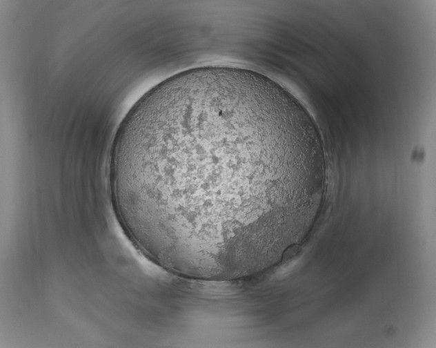 X0000115421007200911171419