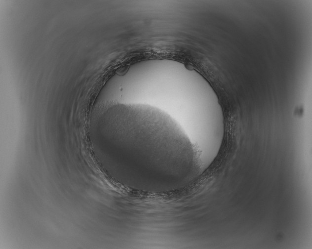 X0000115421009200911171418