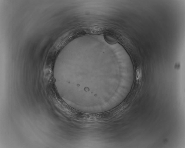 X0000115421011200911171418
