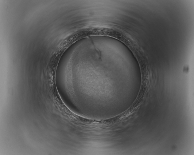 X0000115421013200911171418
