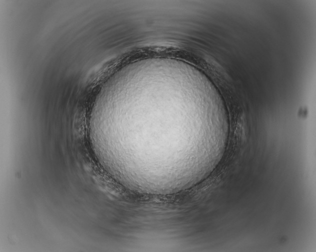 X0000115421014200911171418