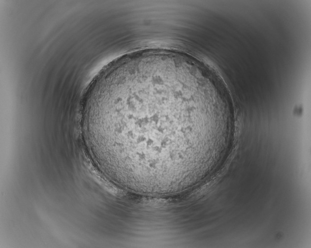 X0000115421019200911171418