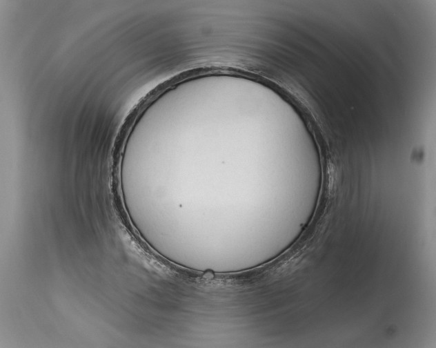 X0000115421020200911171418