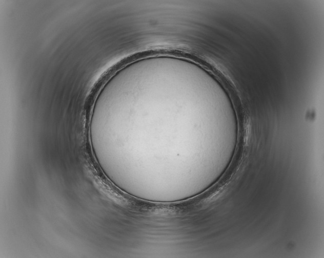 X0000115421021200911171418