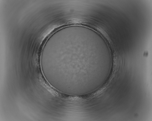 X0000115421023200911171418