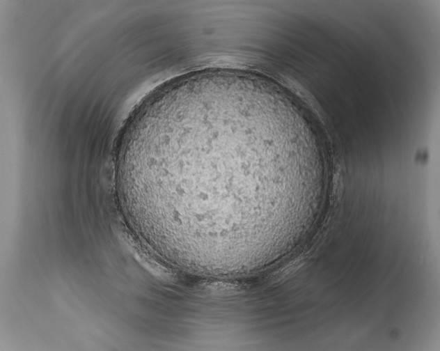 X0000115421027200911171418