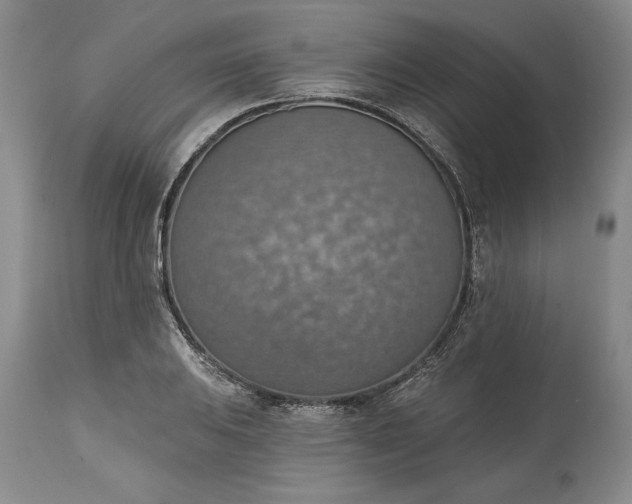 X0000115421031200911171418