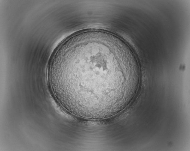 X0000115421032200911171418