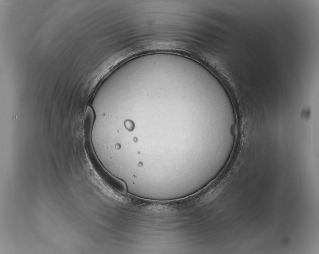 X0000115421033200911171418