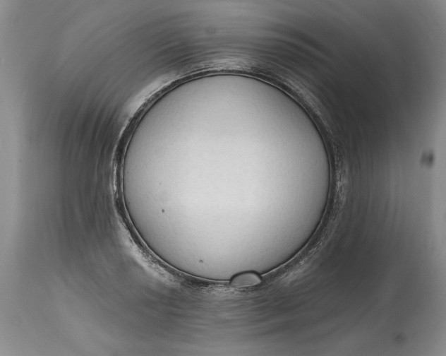 X0000115421034200911171418