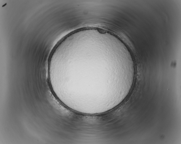 X0000115421036200911171418