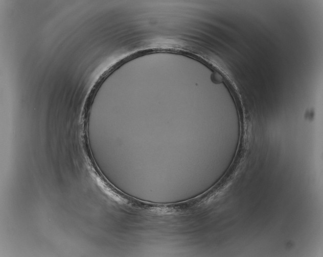 X0000115421037200911171419