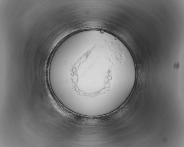 X0000115421039200911171419