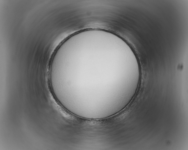 X0000115421040200911171419