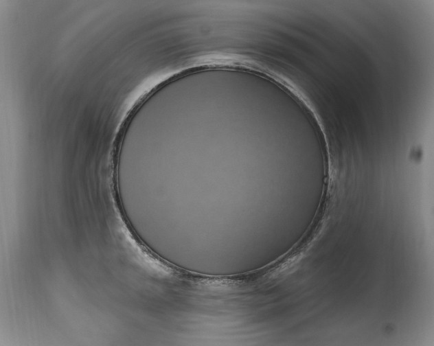 X0000115421045200911171419