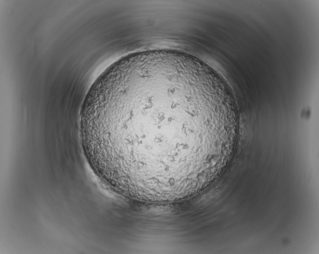 X0000115421047200911171419