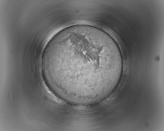X0000115421048200911171419