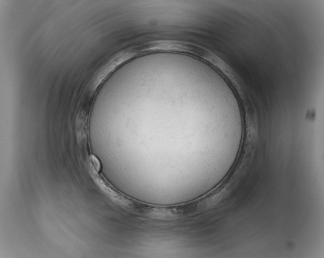 X0000115421049200911171419