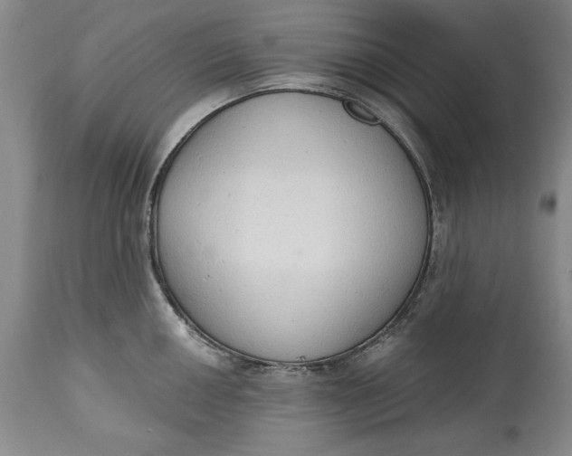 X0000115421050200911171419