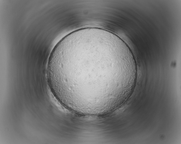 X0000115421052200911171419