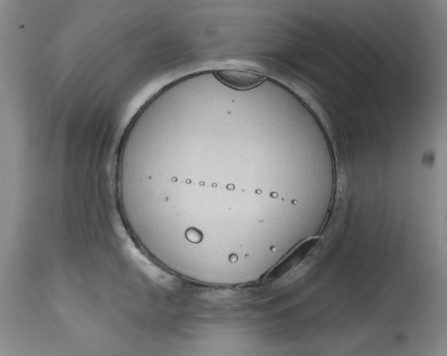 X0000115421054200911171419