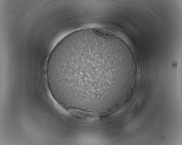X0000115421055200911171419
