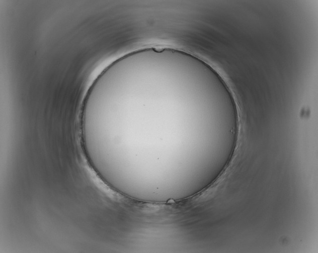 X0000115421056200911171419