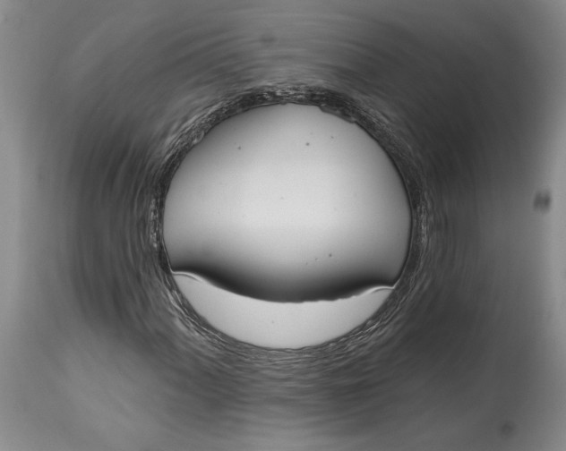 X0000115421060200911171418