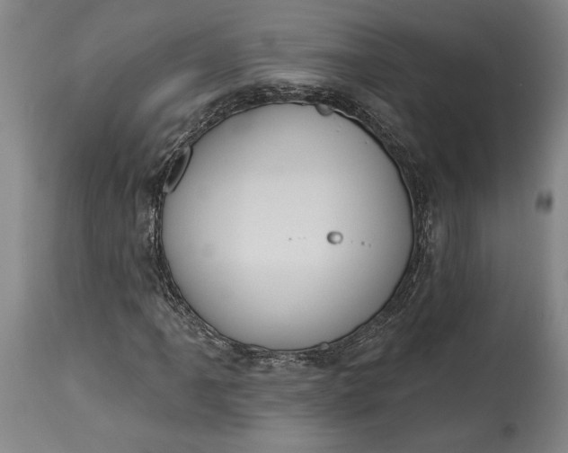X0000115421061200911171418