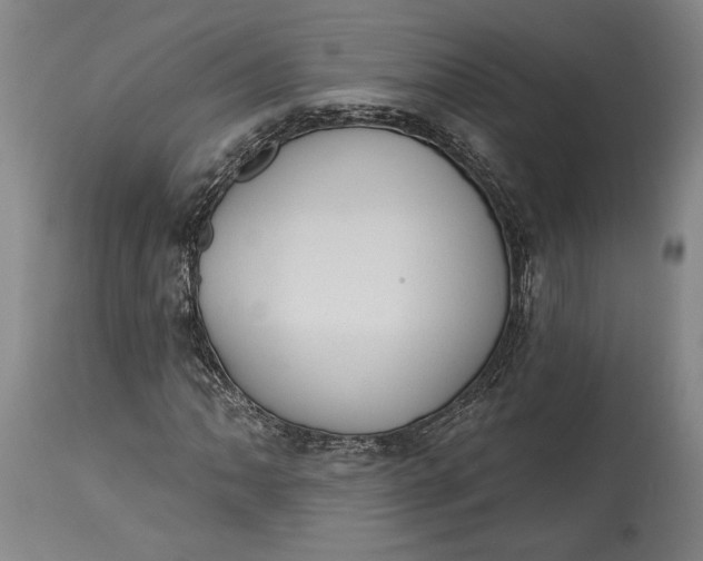 X0000115421062200911171418
