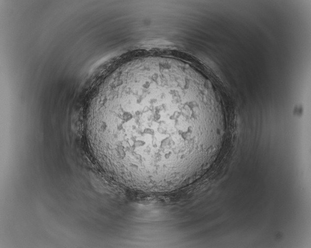 X0000115421063200911171418