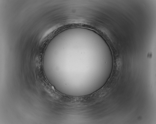 X0000115421064200911171418