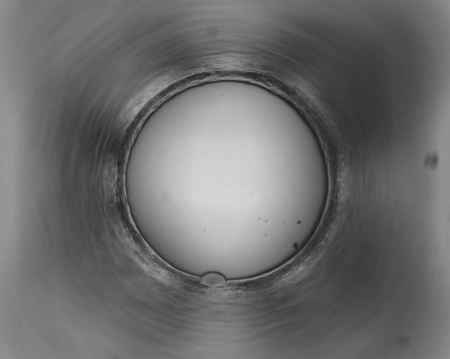 X0000115421065200911171418