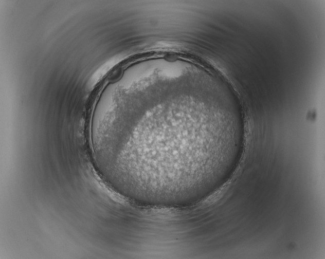 X0000115421066200911171418
