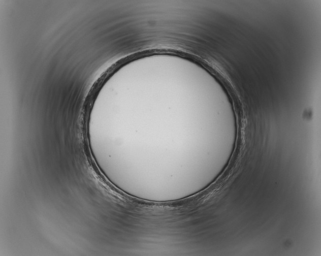 X0000115421068200911171418