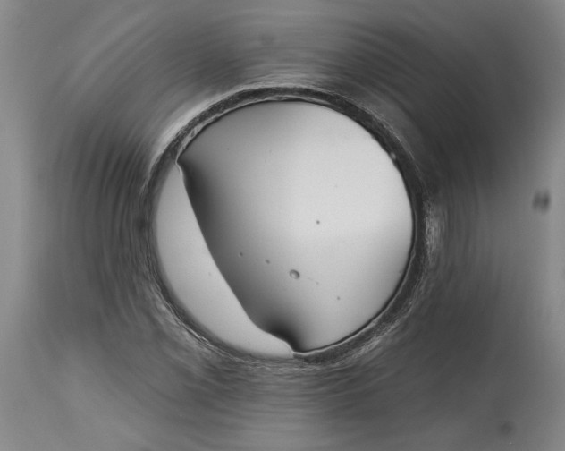 X0000115421069200911171418