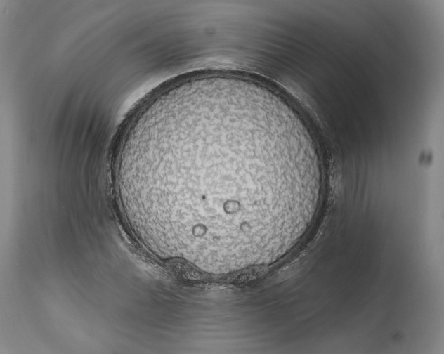 X0000115421070200911171418
